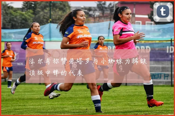 法尔考称赞劳塔罗与小蜘蛛为稀缺顶级中锋的代表