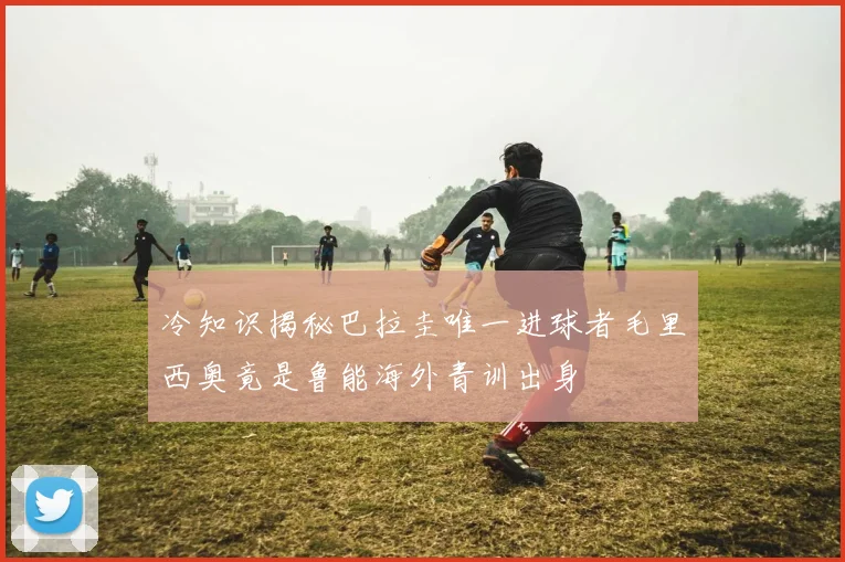冷知识揭秘巴拉圭唯一进球者毛里西奥竟是鲁能海外青训出身